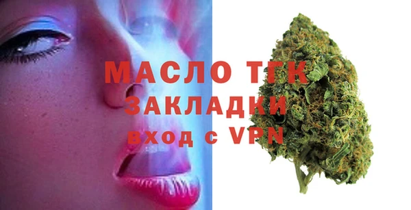 гидра Новодвинск