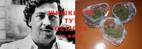 гидра Новодвинск