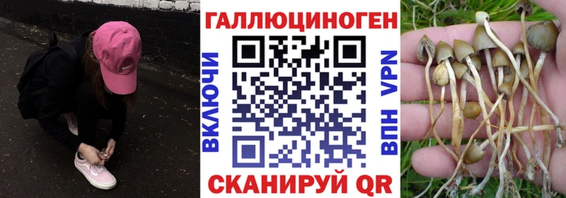 MEGA ссылки  купить наркотики сайты  Алдан  Галлюциногенные грибы GOLDEN TEACHER 