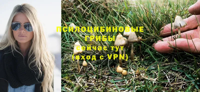 Галлюциногенные грибы Magic Shrooms  ссылка на мегу ссылка  Алдан 