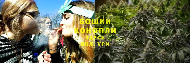 цены наркотик  Алдан  Бошки марихуана White Widow 
